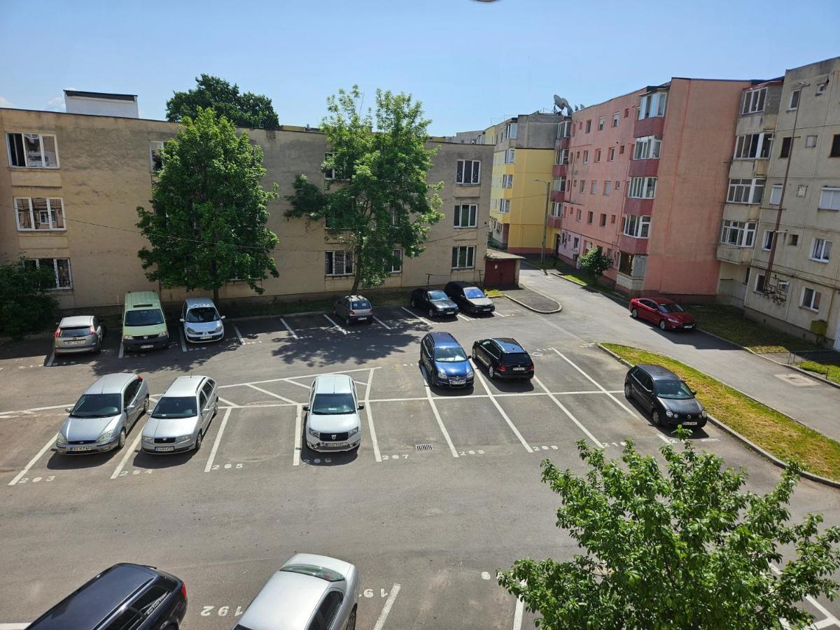 Modern Apartament Făgăraş 外观 照片